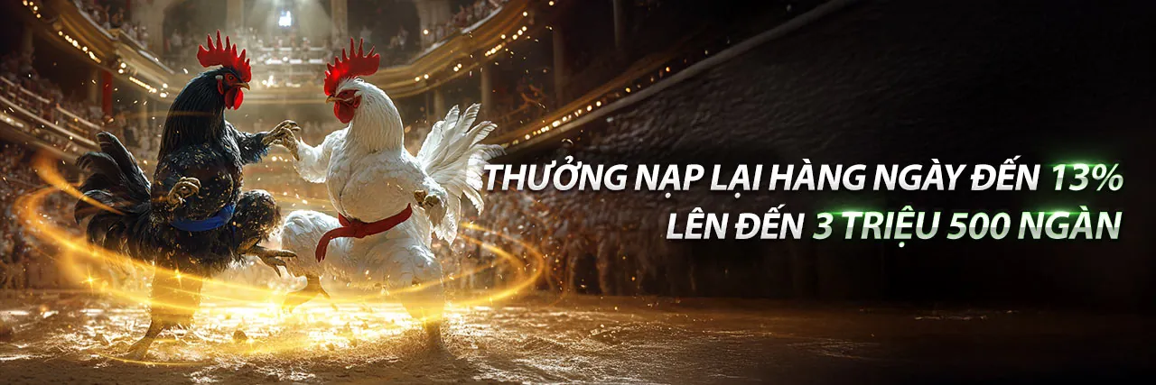 Đá Gà Trực Tuyến i9bet141 Chính Thức